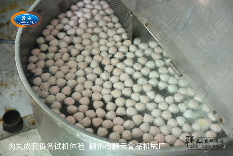 初步定型好的肉丸