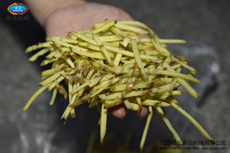 本地生姜切絲效果